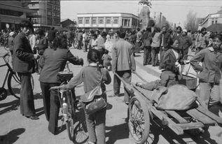 赶马车视频,赶马车视频中的激情与魅力